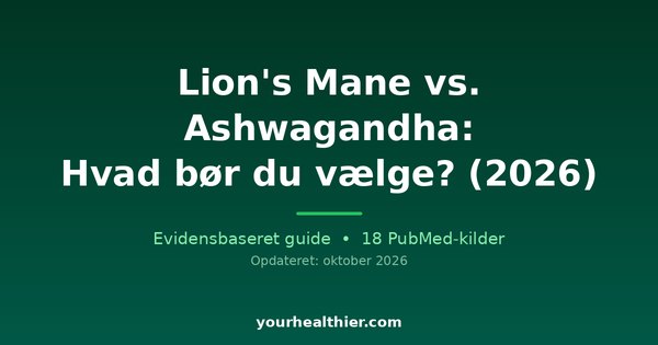 Lion’s Mane vs. Ashwagandha: Hvad bør du vælge? (2026)