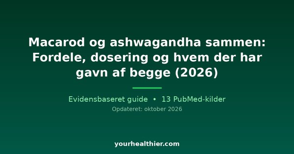 Macarod og ashwagandha sammen: Fordele, dosering og hvem der har gavn af begge (2026)