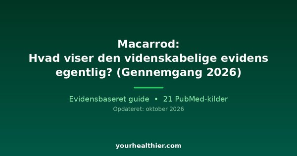 Macarrod: Hvad viser den videnskabelige evidens egentlig? (Gennemgang 2026)