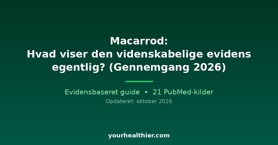 Macarrod: Hvad viser den videnskabelige evidens egentlig? (Gennemgang 2026)