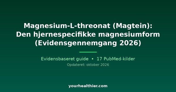 Magnesium-L-threonat (Magtein): Den hjernespecifikke magnesiumform (Evidensgennemgang 2026)