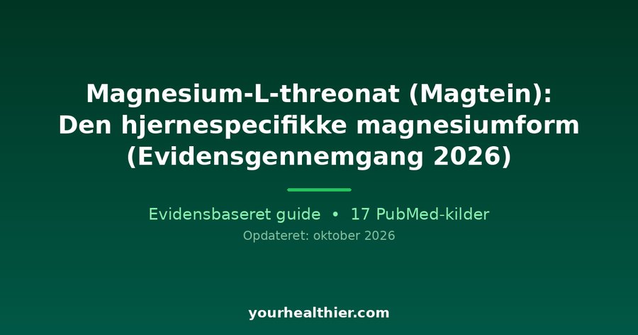 Magnesium-L-threonat (Magtein): Den hjernespecifikke magnesiumform (Evidensgennemgang 2026)