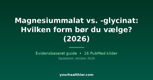 Magnesiummalat vs. -glycinat: Hvilken form bør du vælge? (2026)