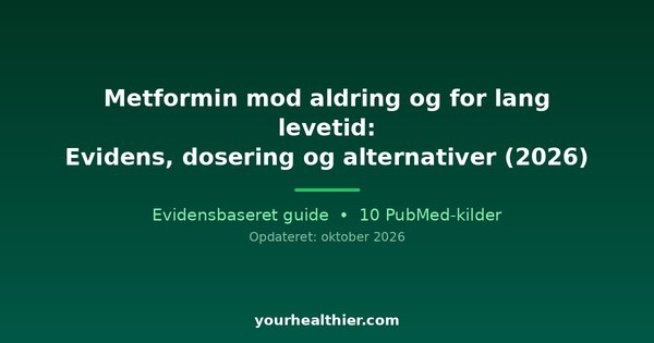 Metformin mod aldring og for lang levetid: Evidens, dosering og alternativer (2026)