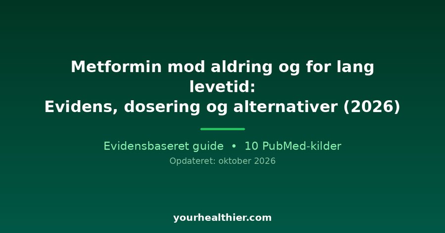 Metformin mod aldring og for lang levetid: Evidens, dosering og alternativer (2026)