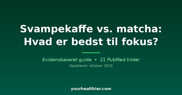 Svampekaffe vs. matcha: Hvad er bedst til fokus?