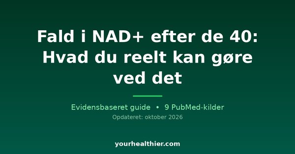 Fald i NAD+ efter de 40: Hvad du reelt kan gøre ved det
