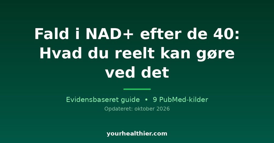 Fald i NAD+ efter de 40: Hvad du reelt kan gøre ved det