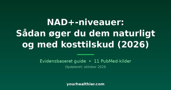 NAD+-niveauer: Sådan øger du dem naturligt og med kosttilskud (2026)