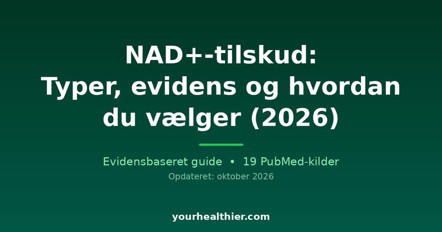 NAD+-tilskud: Typer, evidens og hvordan du vælger (2026)
