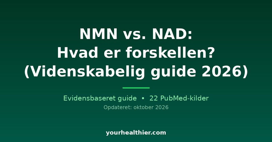 NMN vs. NAD: Hvad er forskellen? (Videnskabelig guide 2026)