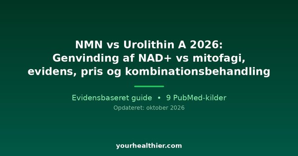 NMN vs Urolithin A 2026: Genvinding af NAD+ vs mitofagi, evidens, pris og kombinationsbehandling