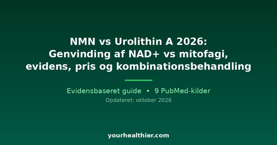 NMN vs Urolithin A 2026: Genvinding af NAD+ vs mitofagi, evidens, pris og kombinationsbehandling