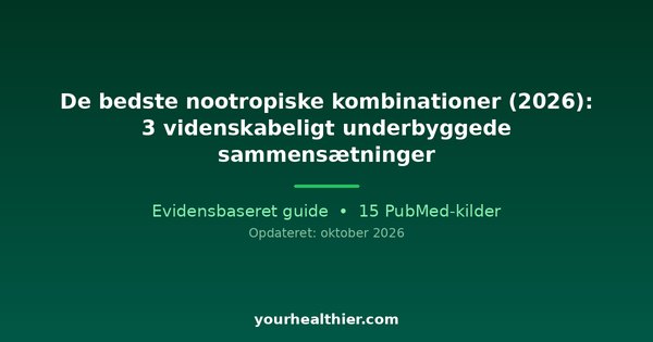 De bedste nootropiske kombinationer (2026): 3 videnskabeligt underbyggede sammensætninger