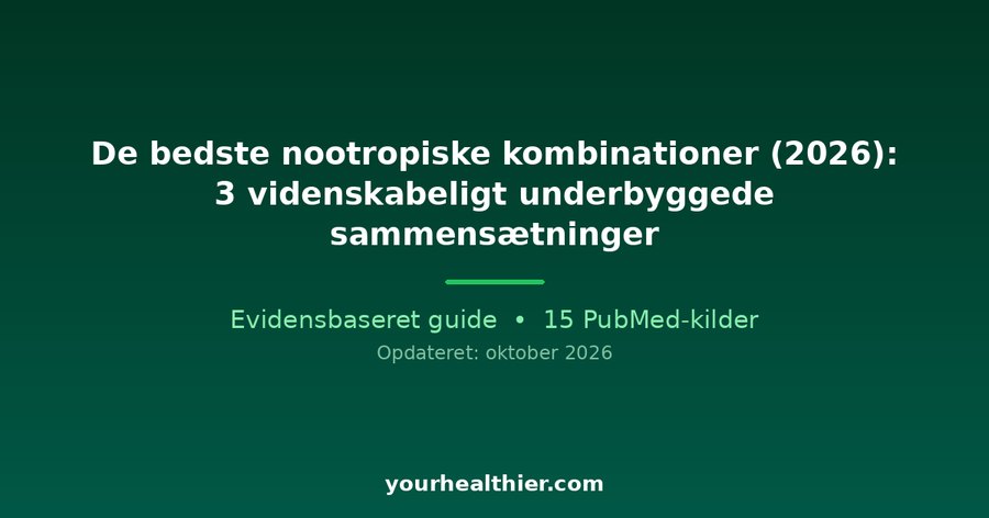 De bedste nootropiske kombinationer (2026): 3 videnskabeligt underbyggede sammensætninger