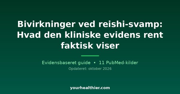 Bivirkninger ved reishi-svamp: Hvad den kliniske evidens rent faktisk viser