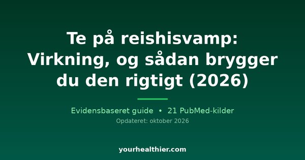 Te på reishisvamp: Virkning, og sådan brygger du den rigtigt (2026)