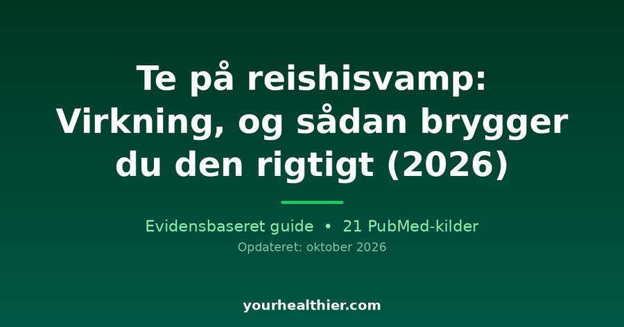 Te på reishisvamp: Virkning, og sådan brygger du den rigtigt (2026)