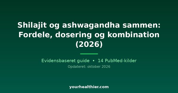 Shilajit og ashwagandha sammen: Fordele, dosering og kombination (2026)