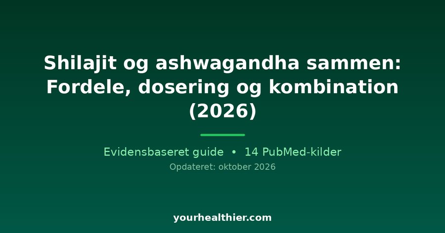 Shilajit og ashwagandha sammen: Fordele, dosering og kombination (2026)