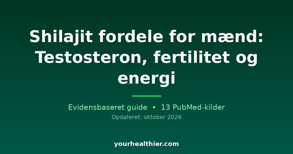 Shilajit fordele for mænd: Testosteron, fertilitet og energi