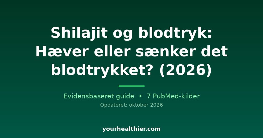 Shilajit og blodtryk: Hæver eller sænker det blodtrykket? (2026)