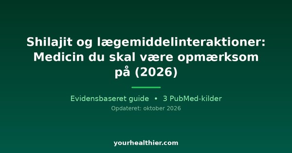 Shilajit og lægemiddelinteraktioner: Medicin du skal være opmærksom på (2026)