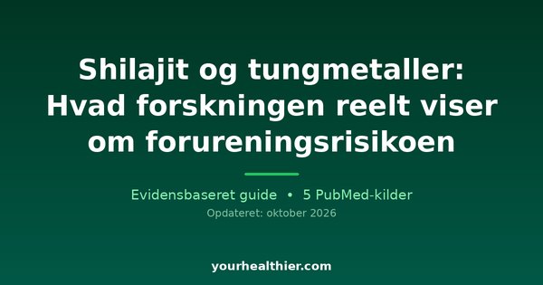 Shilajit og tungmetaller: Hvad forskningen reelt viser om forureningsrisikoen