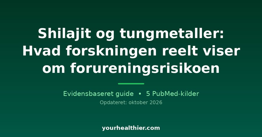 Shilajit og tungmetaller: Hvad forskningen reelt viser om forureningsrisikoen