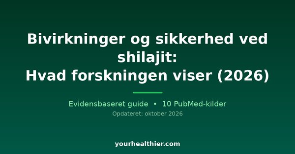 Bivirkninger og sikkerhed ved shilajit: Hvad forskningen viser (2026)