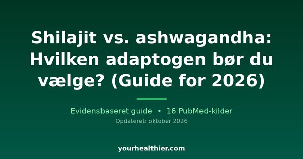 Shilajit vs. ashwagandha: Hvilken adaptogen bør du vælge? (Guide for 2026)