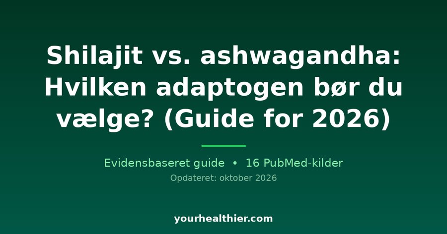 Shilajit vs. ashwagandha: Hvilken adaptogen bør du vælge? (Guide for 2026)