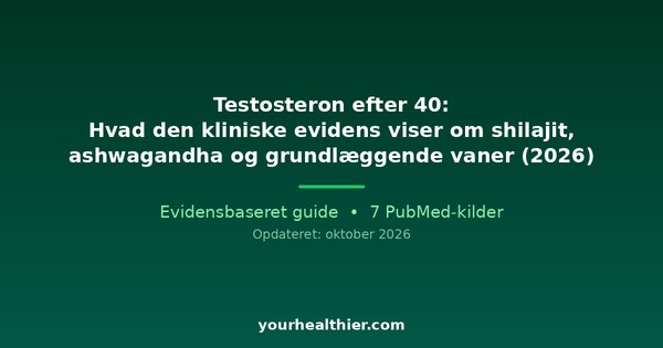 Testosteron efter 40: Hvad den kliniske evidens viser om shilajit, ashwagandha og grundlæggende vaner (2026)