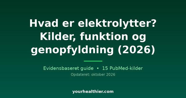 Hvad er elektrolytter? Kilder, funktion og genopfyldning (2026)