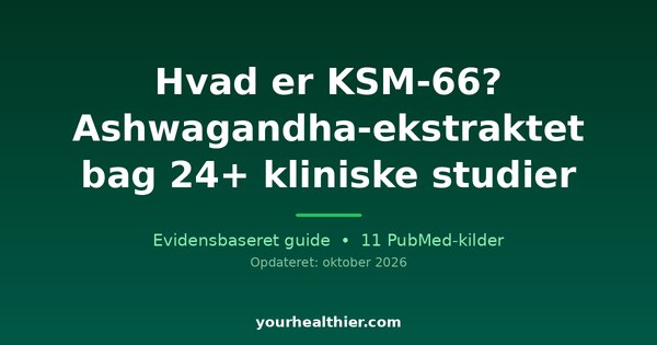 Hvad er KSM-66? Ashwagandha-ekstraktet bag 24+ kliniske studier