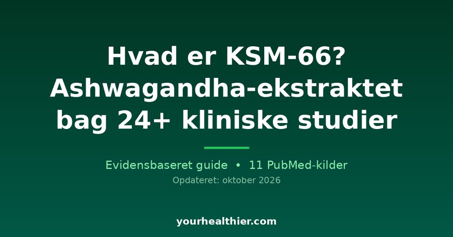 Hvad er KSM-66? Ashwagandha-ekstraktet bag 24+ kliniske studier