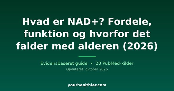 Hvad er NAD+? Fordele, funktion og hvorfor det falder med alderen (2026)
