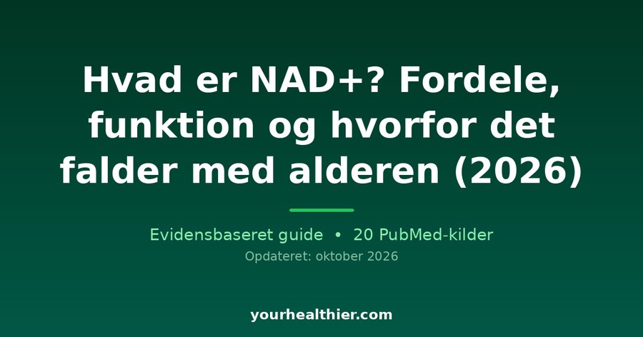Hvad er NAD+? Fordele, funktion og hvorfor det falder med alderen (2026)