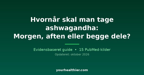 Hvornår skal man tage ashwagandha: Morgen, aften eller begge dele?